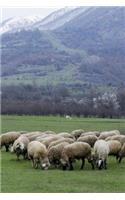 Sheep Grazing in the Meadow Journal: 150 page lined notebook/diary