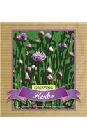 Growing Herbs