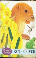 Oscar Otter (Touch & Feel Board Books)
