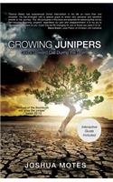 Growing Junipers: God's Upward Call During the Storm(English)