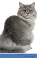 British Longhair Cat Presents: Cat Facts Workbook. British Longhair Cat Presents Cat Facts Workbook with Self Therapy, Journalling, Productivity Tracker with Self Therapy, Journal