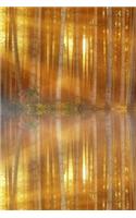 Trees Reflected on a Lake Journal: Take Notes, Write Down Memories in this 150 Page Lined Journal