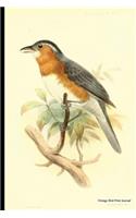 Vintage Bird Print Journal: Slaty Tanager, 6" x 9" Vintage Bird Decor Print Journal - [Lined Journal]