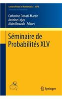 Séminaire de Probabilités XLV