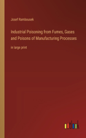 Industrial Poisoning from Fumes, Gases and Poisons of Manufacturing Processes: in large print