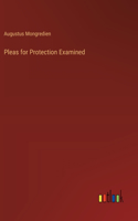 Pleas for Protection Examined