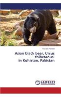 Asian black bear, Ursus thibetanus in Kohistan, Pakistan