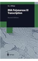 RNA Polymerase III Transcription