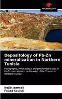 Depositology of Pb-Zn mineralization in Northern Tunisia
