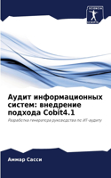 &#1040;&#1091;&#1076;&#1080;&#1090; &#1080;&#1085;&#1092;&#1086;&#1088;&#1084;&#1072;&#1094;&#1080;&#1086;&#1085;&#1085;&#1099;&#1093; &#1089;&#1080;&#1089;&#1090;&#1077;&#1084;: &#1074;&#1085;&#1077;&#1076;&#1088;&#1077;&#1085;&#1080;&#1077; &#1087;&#1086;&#1076;&#1093;&#1086;&#1076;&#1072; Cobit4.1