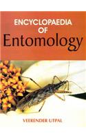 Encyclopaedia of Entomology