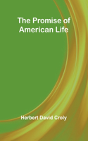 Promise of American Life