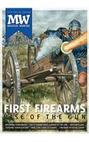 Rise of the Gun