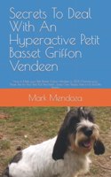Secrets To Deal With An Hyperactive Petit Basset Griffon Vendeen