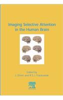 Imaging Selective Attention in the Human Brain