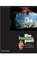 The Human Past