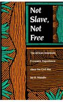 Not Slave, not Free