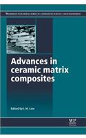 Advances in Ceramic Matrix Composites