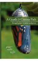 Gentle & Curious Path