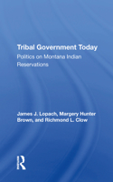 Tribal Government Today