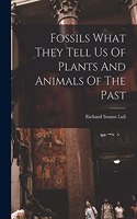 Fossils What They Tell Us Of Plants And Animals Of The Past