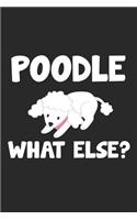 Poodle What Else?
