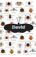 David: Bug Insect Handwriting for K-3 Students Practice Paper Book Notebook Journal Book 120 Pages 6x9