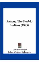 Among the Pueblo Indians (1895)