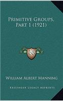 Primitive Groups, Part 1 (1921)