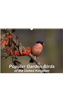 Popular Garden Birds of the United Kingdom 2018