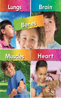 My Body Set of 5: (Science: Informational Text)