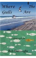 Where the Gulls Are