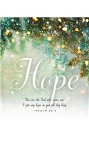 Hope Image Advent Bulletin, Large (Pkg of 50)
