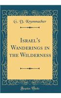 Israel's Wanderings in the Wilderness (Classic Reprint)