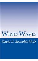 Wind Waves