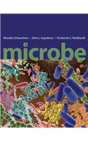 Microbe