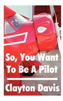 So, You Want to Be a Pilot