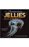 Amazing Jellies