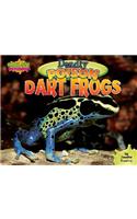 Deadly Poison Dart Frogs
