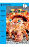 Animal Homes, Book 6