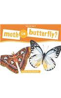 Moth or Butterfly?: (This or That?)