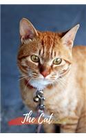 The Cat