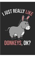 I Just Really Like Donkeys, OK?