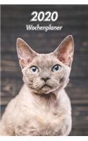 2020 Wochenplaner: Devon Rex 107 Seiten, 15cm x 23cm ca. A5 Taschenkalender Terminplaner Tagebuch Terminkalender Organizer für Katzenliebhaber