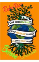 Rain Forest, Amazon Fires & Climate Change