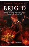 Pagan Portals – Brigid – Meeting the Celtic Goddess of Poetry, Forge, and Healing Well: Meeting the Celtic Goddess of Poetry, Forge, and Healing Well(Pagan Portals)