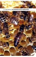 Introduction of Queen Bees