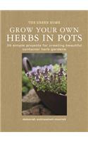 Grow Your Own Herbis in Pots