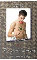 Beyond the Beaded Curtain