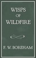 Wisps of Wildfire